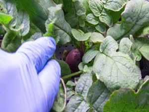 ESPACIO A TIERRA - AUGUST 12, 2022